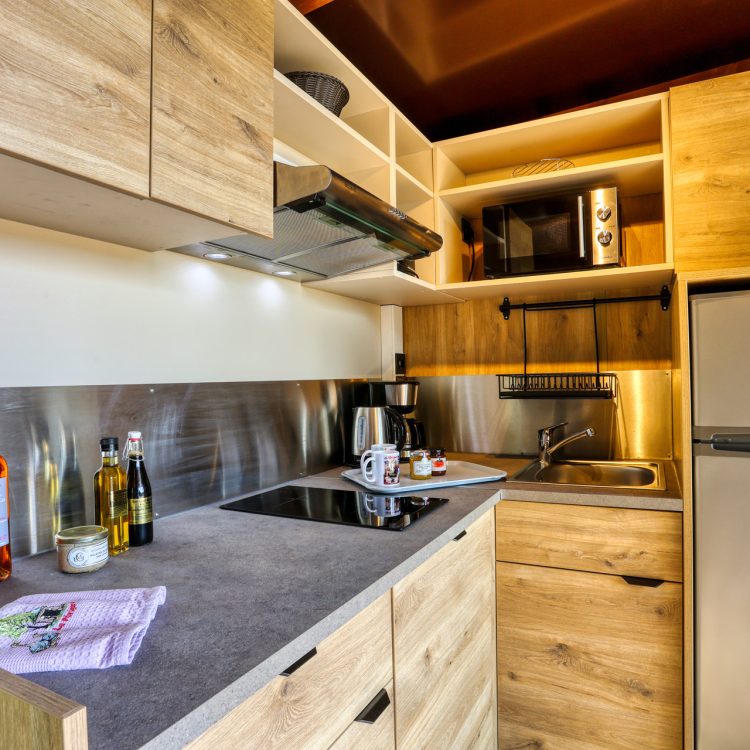 Les Hauts de Marquay Cottage Premium 4P (35)