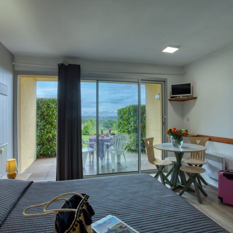 Les Hauts de Marquay Studio 2P 045